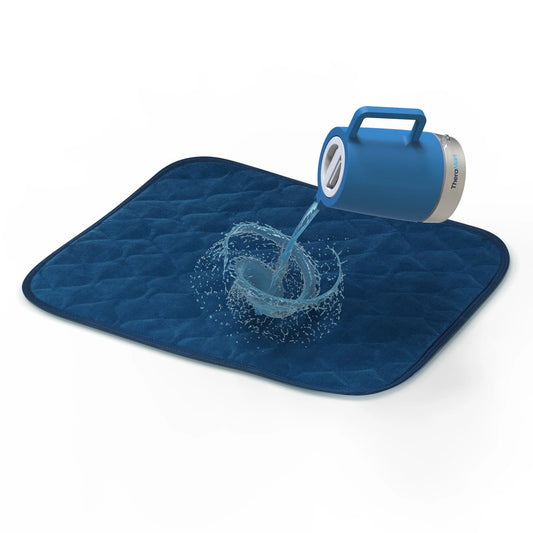 Protector para Asientos Therasafe
